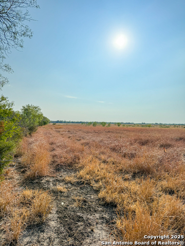 Image 8 of 15 For 6870 County Road 329 (tract 1)