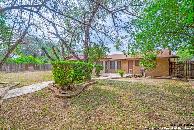 Image 22 of 24 For 2523 Turkey Oak