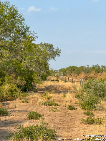 Image 12 of 15 For 6870 County Road 329 (tract 1-5)