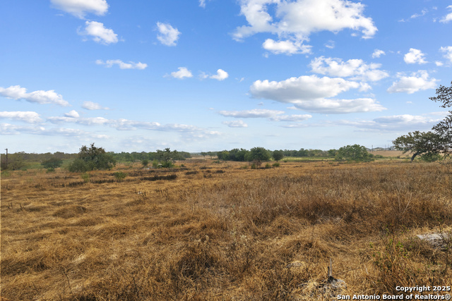 Listing photo id 11 for 3628 Loop 1604 S