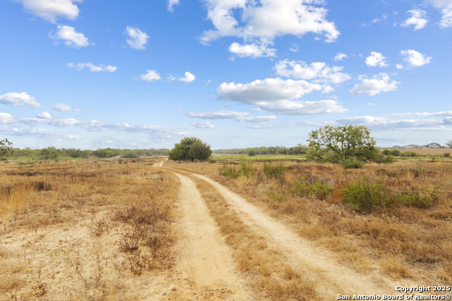 Listing photo id 3 for 3628 Loop 1604 S