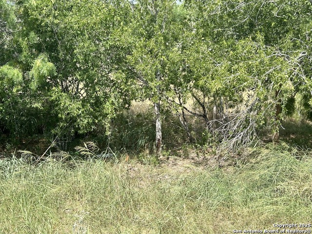 Image 16 of 28 For 8774 N Us Hwy 281