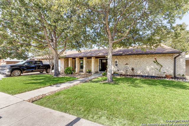 Listing photo id 38 for 5915 Rimkus  