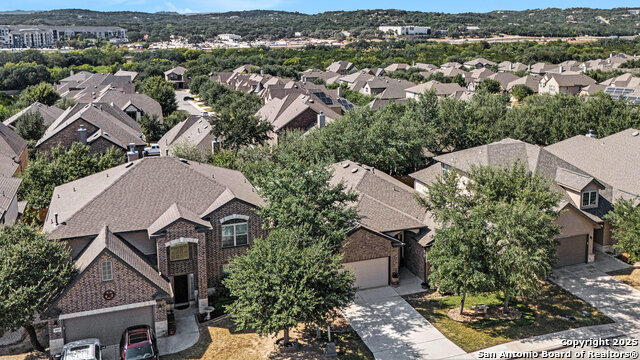 Image 28 of 39 For 26919 Camellia