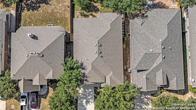 Image 29 of 39 For 26919 Camellia