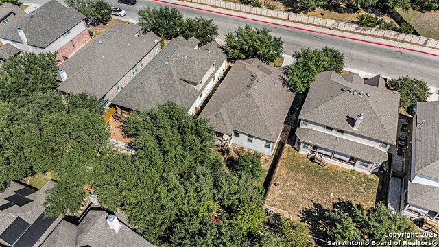 Image 30 of 39 For 26919 Camellia