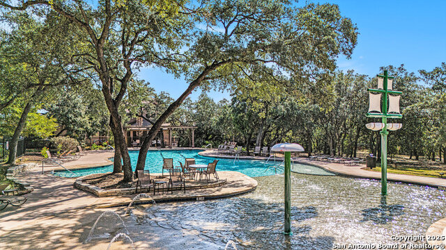 Image 31 of 39 For 26919 Camellia