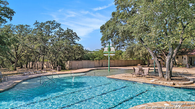 Image 32 of 39 For 26919 Camellia