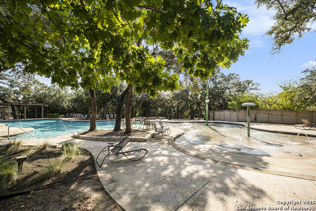 Image 36 of 39 For 26919 Camellia