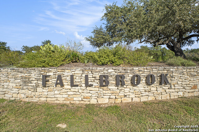 Image 39 of 39 For 26919 Camellia