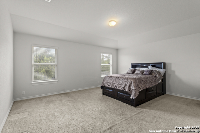 Listing photo id 16 for 9320 Cord Grass