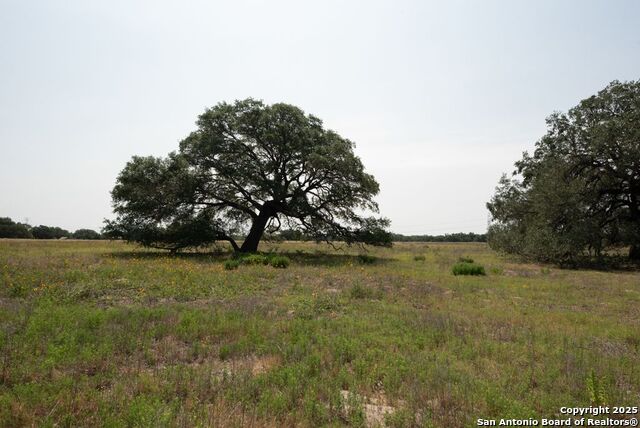 Details for Tbd11+-- Acres County Road 334, Stockdale, TX 78160