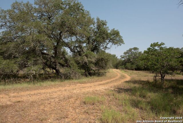 Image 3 of 20 For Tbd30+-- Acres County Road 332