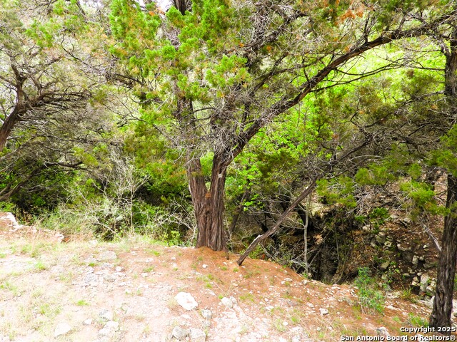 Image 39 of 43 For 213 Oak Cliff