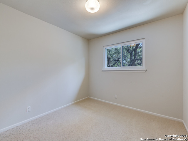Listing photo id 14 for 14811 Willow Moss St