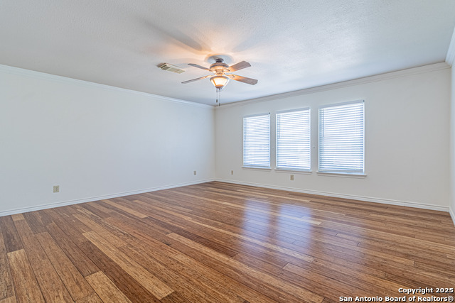 Image 11 of 39 For 3003 Cassowary