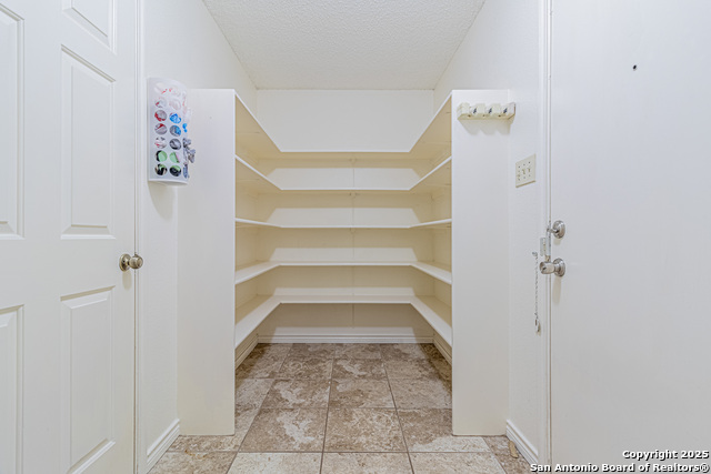 Image 15 of 39 For 3003 Cassowary