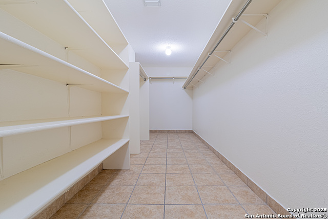 Image 16 of 39 For 3003 Cassowary