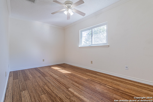 Image 18 of 39 For 3003 Cassowary