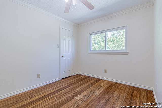 Image 19 of 39 For 3003 Cassowary