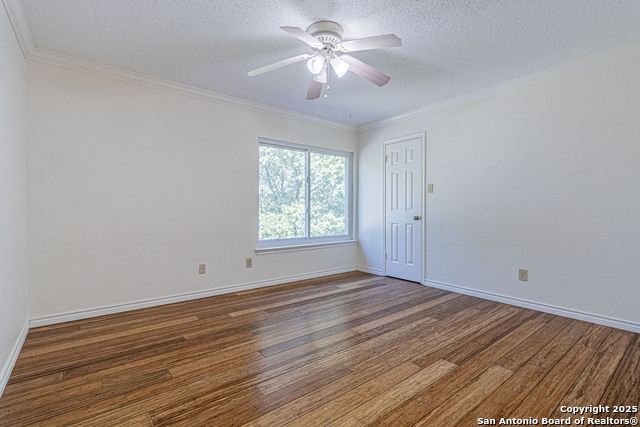 Image 20 of 39 For 3003 Cassowary