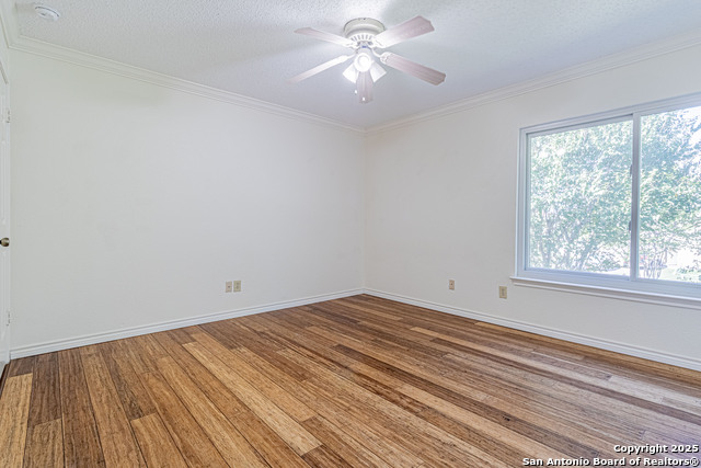 Image 21 of 39 For 3003 Cassowary