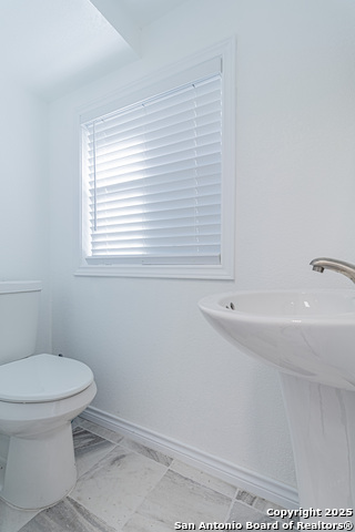 Image 24 of 39 For 3003 Cassowary