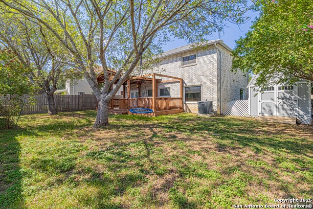 Image 27 of 39 For 3003 Cassowary