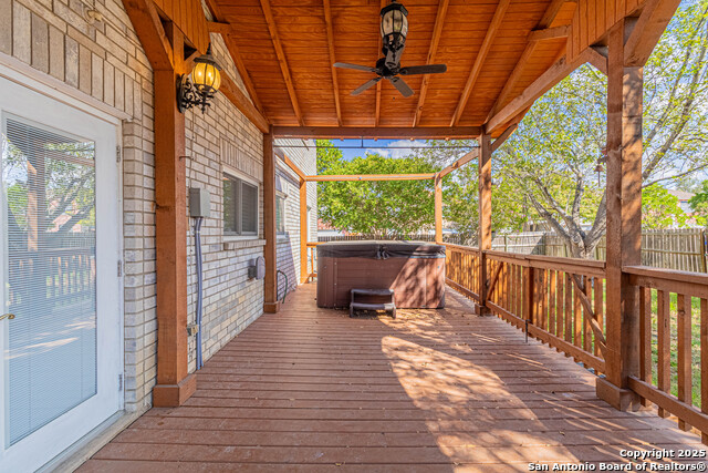 Image 29 of 39 For 3003 Cassowary