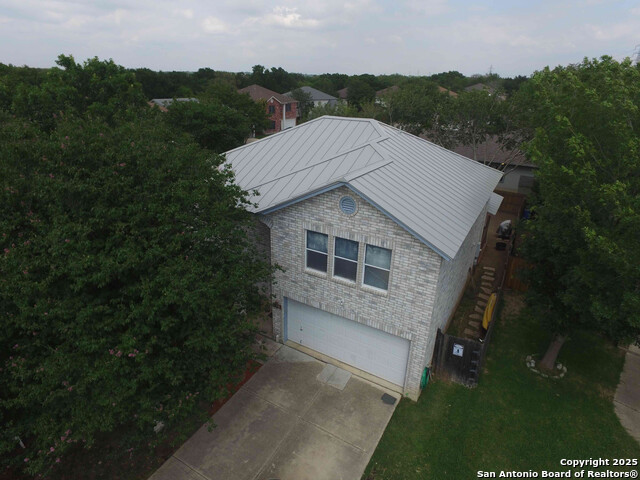 Image 3 of 39 For 3003 Cassowary
