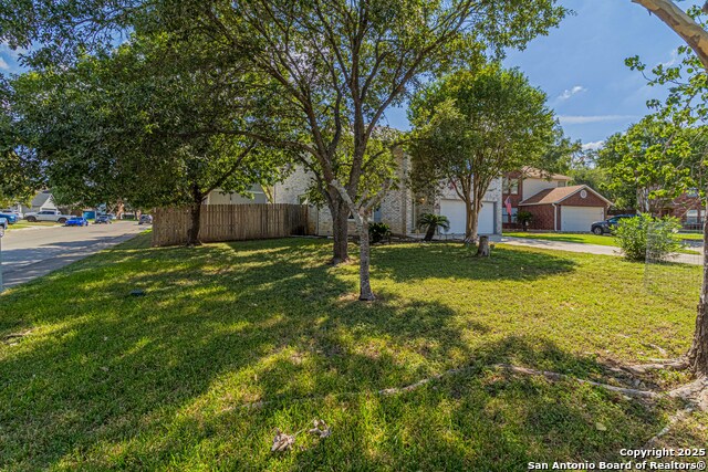 Image 30 of 39 For 3003 Cassowary
