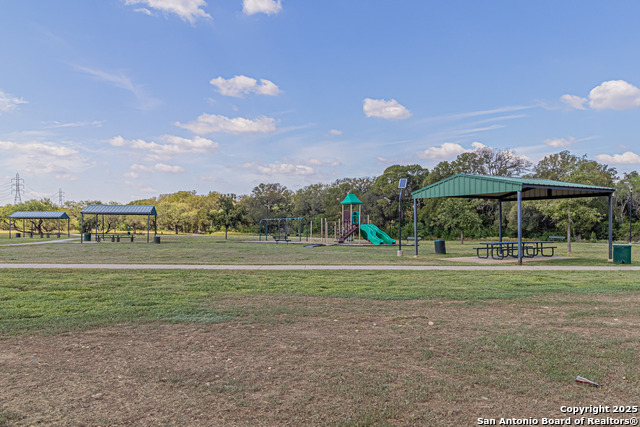 Image 31 of 39 For 3003 Cassowary