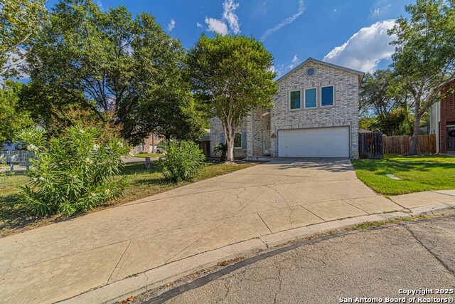 Image 32 of 39 For 3003 Cassowary