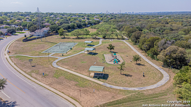 Image 34 of 39 For 3003 Cassowary