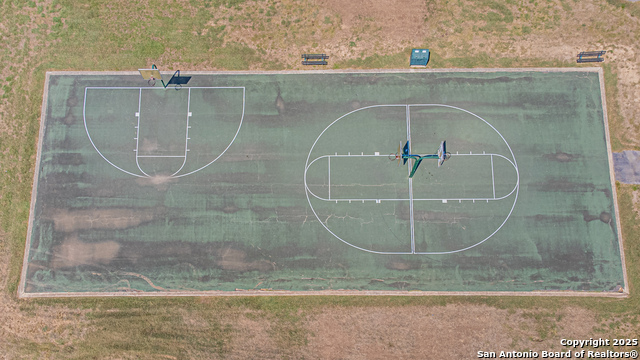 Image 35 of 39 For 3003 Cassowary