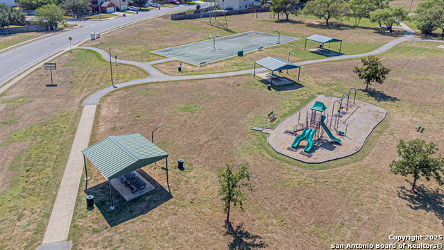 Image 36 of 39 For 3003 Cassowary