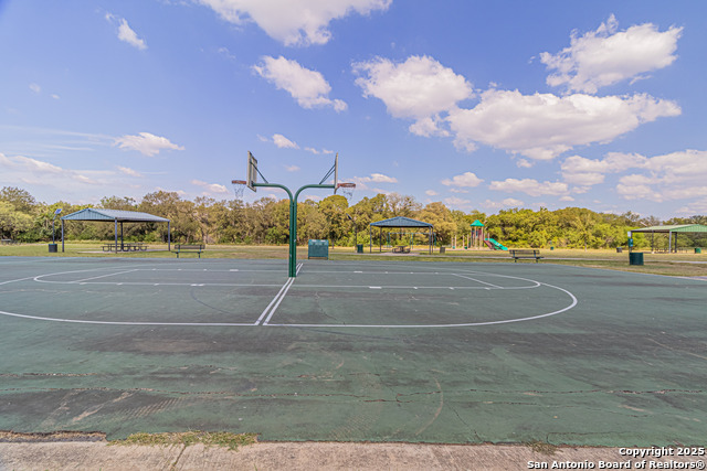 Image 37 of 39 For 3003 Cassowary