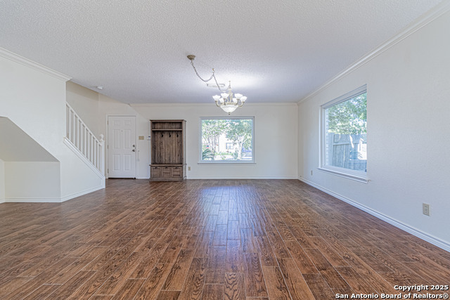 Image 6 of 39 For 3003 Cassowary