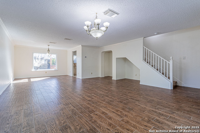 Image 7 of 39 For 3003 Cassowary