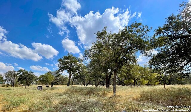 Image 12 of 16 For 265 Firewheel Loop