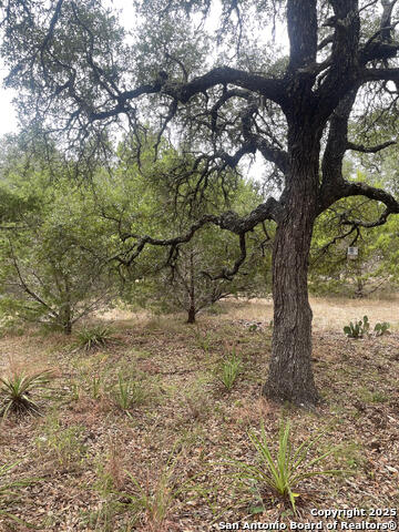 Image 4 of 13 For 681 Canyon Circle