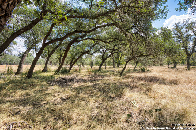 Image 10 of 24 For 261 Watering Hole Trail