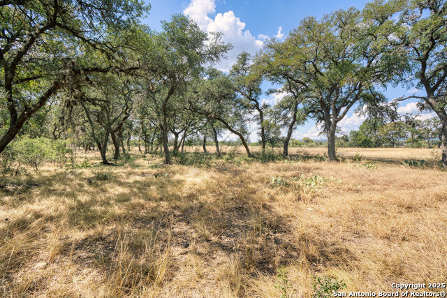 Image 11 of 24 For 261 Watering Hole Trail