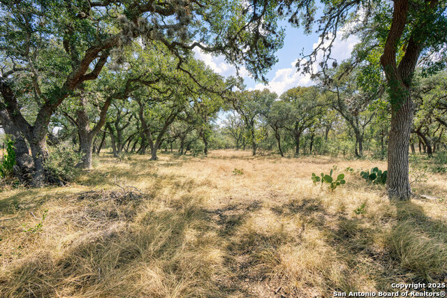 Image 9 of 24 For 261 Watering Hole Trail
