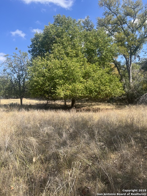 Image 5 of 9 For 575 Burning Tree