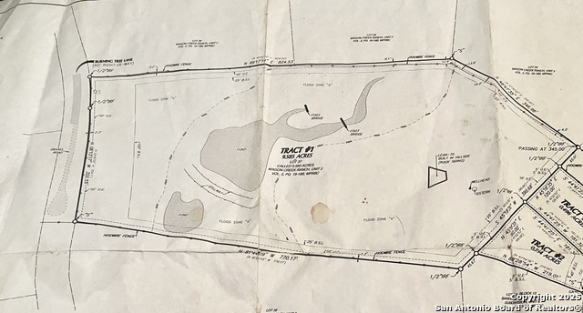 Image 8 of 9 For 575 Burning Tree
