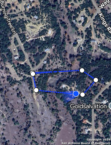 Image 9 of 9 For 575 Burning Tree