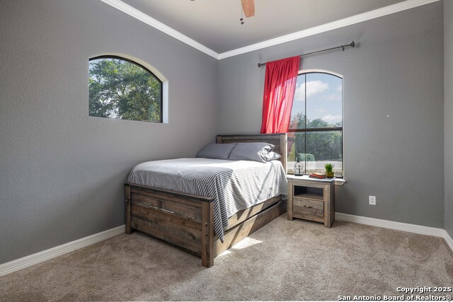 Image 26 of 48 For 110 Longwood