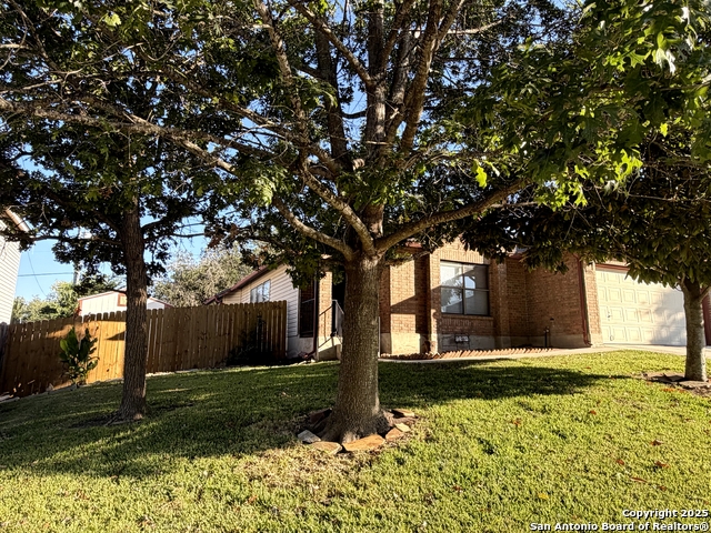 Image 19 of 19 For 7006 Raintree