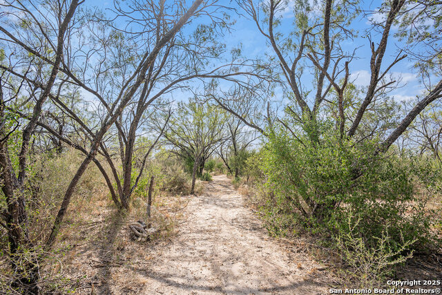 Listing photo id 23 for 545 County Road 741